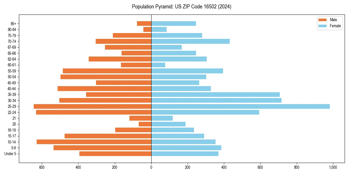 Population pyramid for 