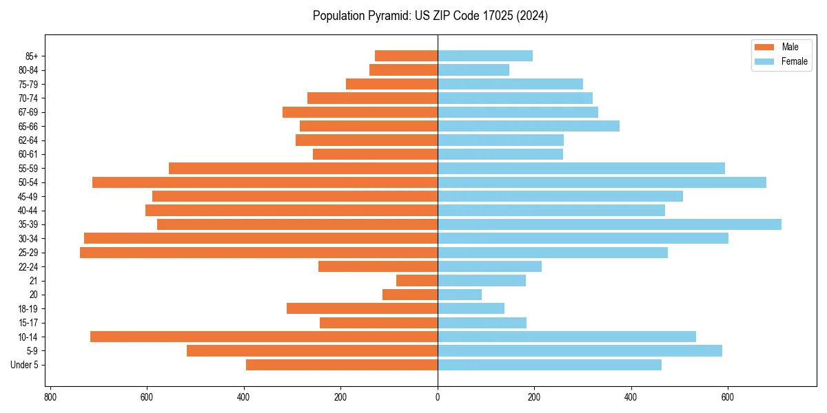 Population pyramid for 