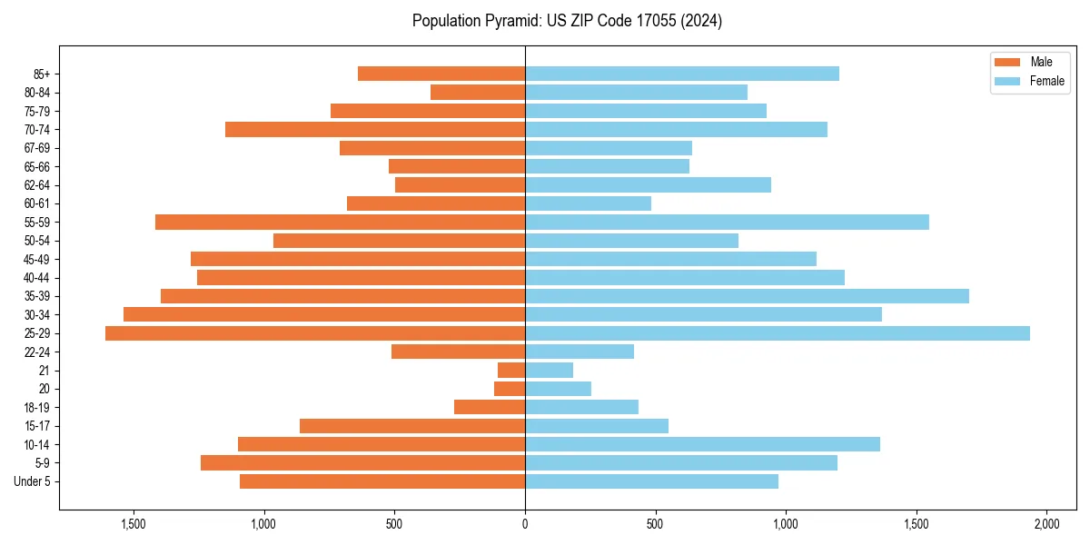 Population pyramid for 