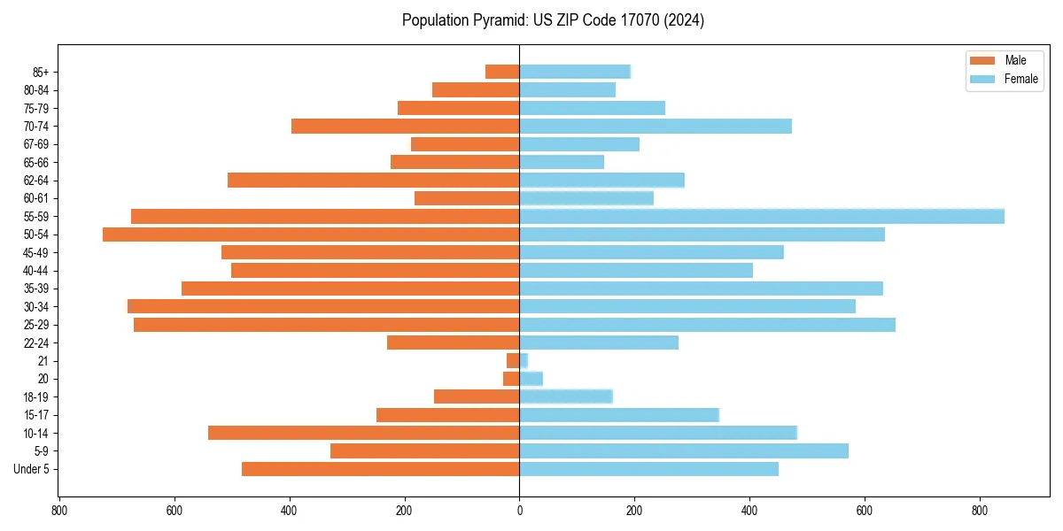 Population pyramid for 