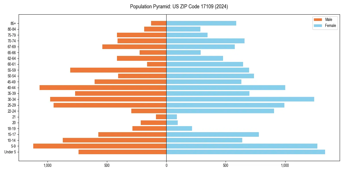 Population pyramid for 