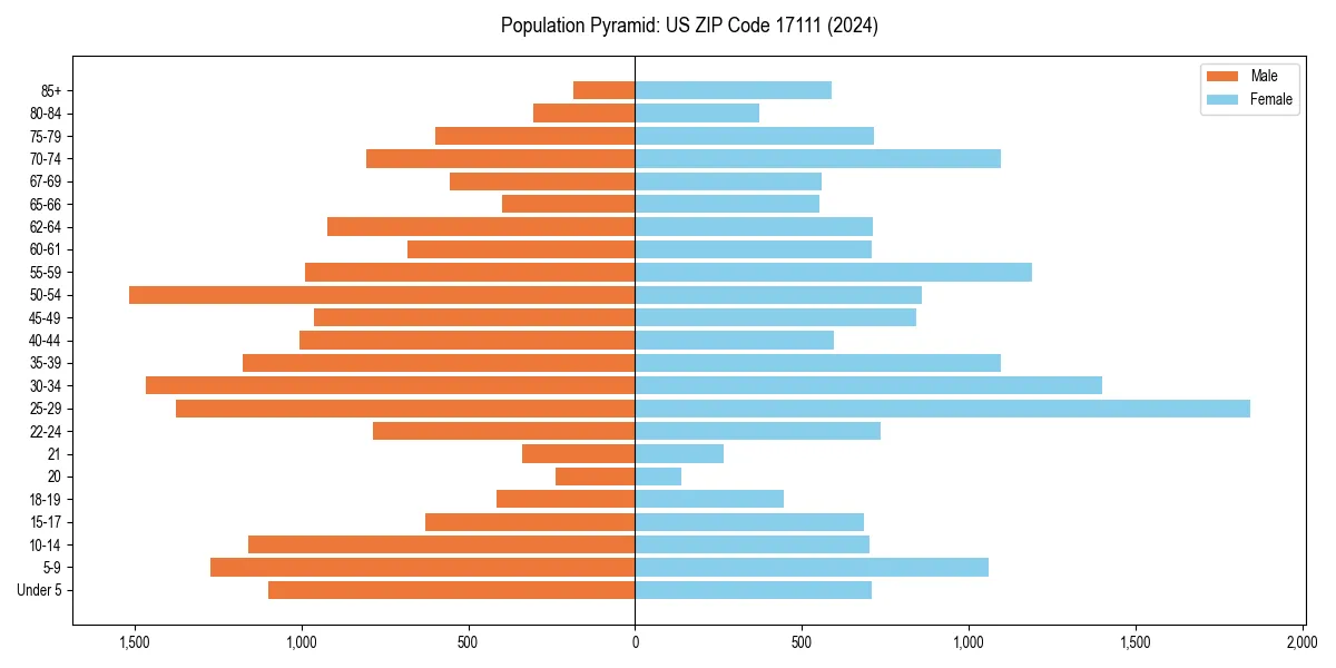 Population pyramid for 
