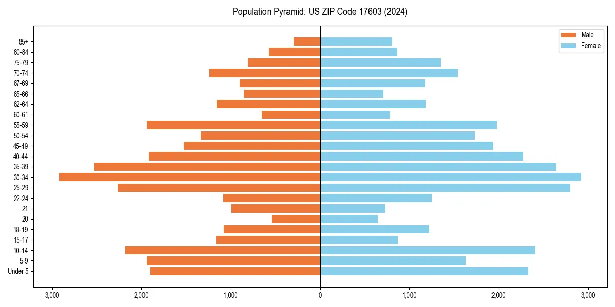 Population pyramid for 