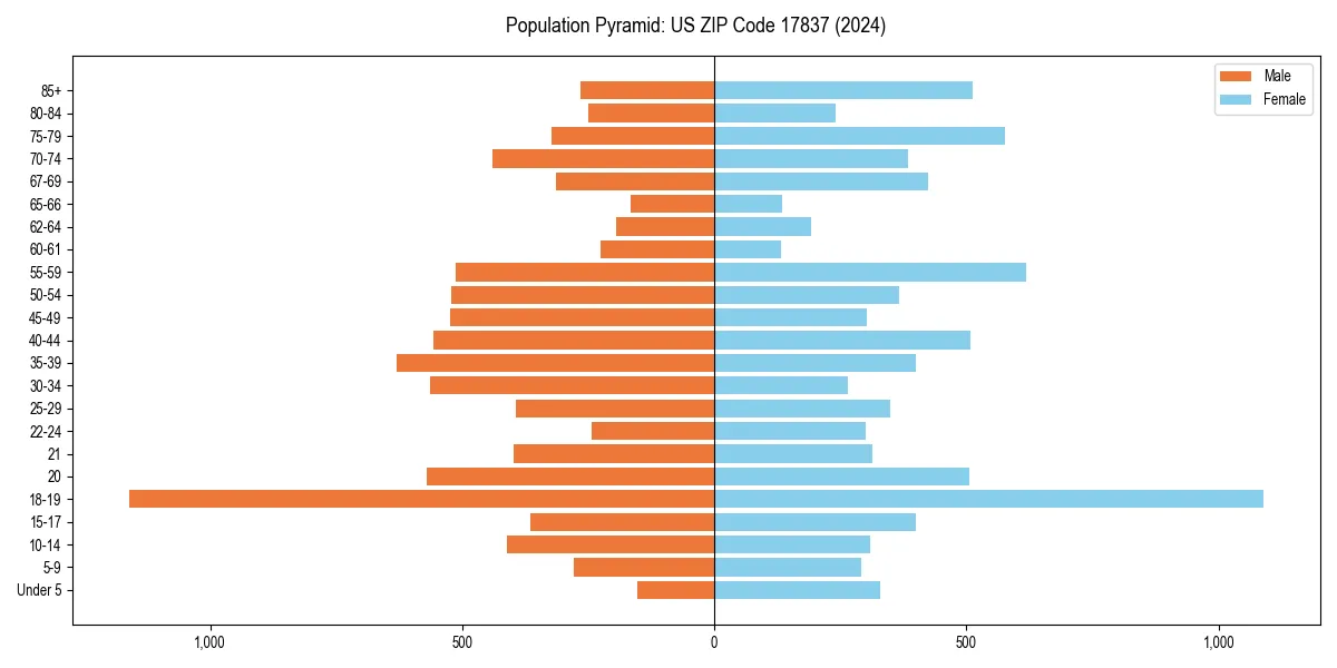Population pyramid for 