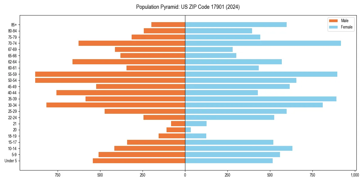 Population pyramid for 
