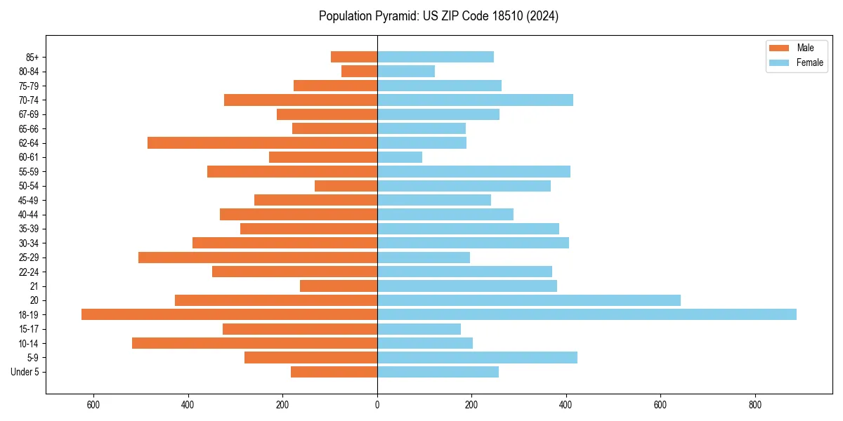 Population pyramid for 