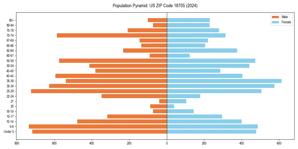 Population pyramid for 