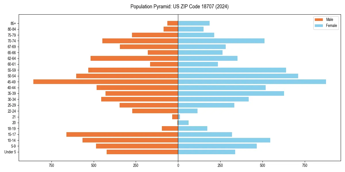 Population pyramid for 