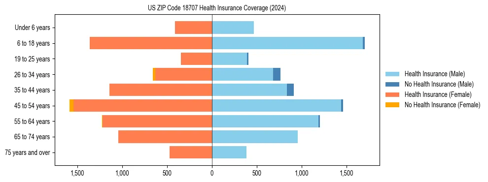 Health insurance pyramid for US ZIP Code 18707