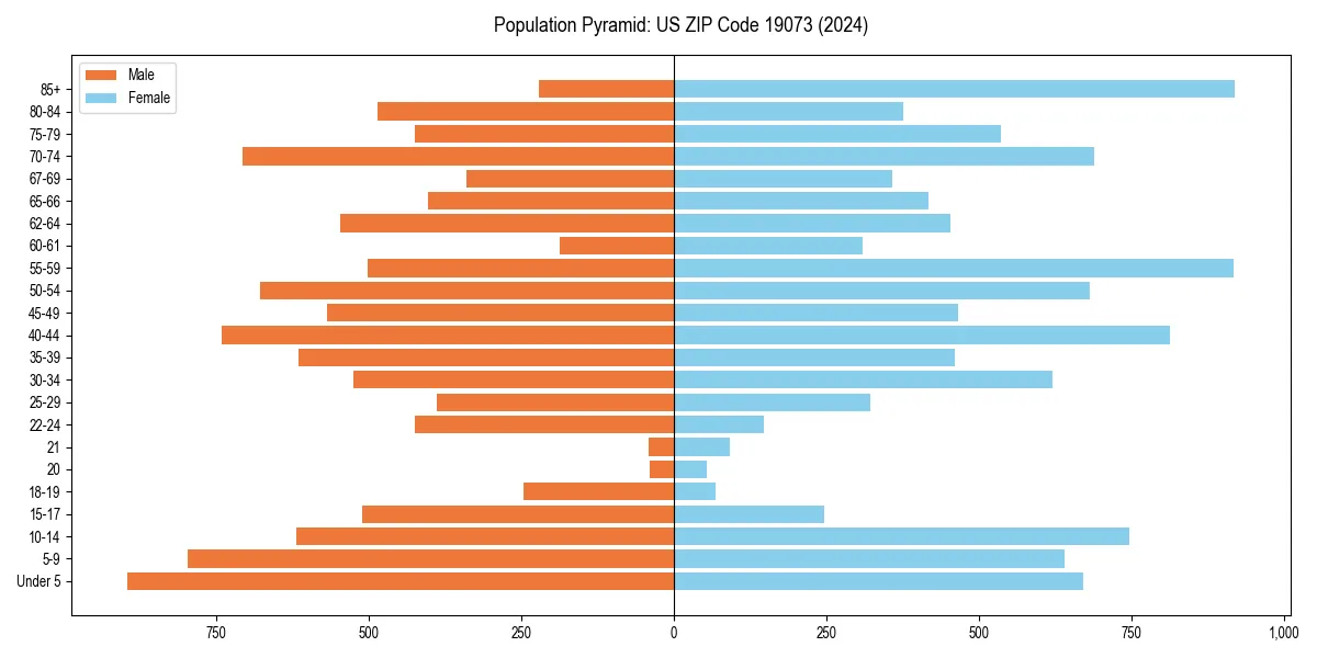 Population pyramid for 