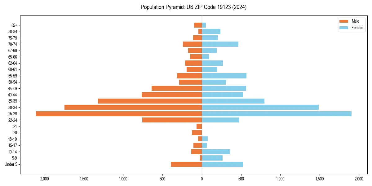 Population pyramid for 