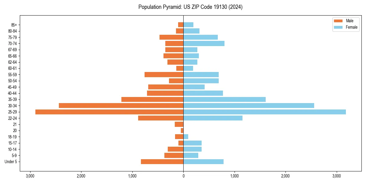 Population pyramid for 