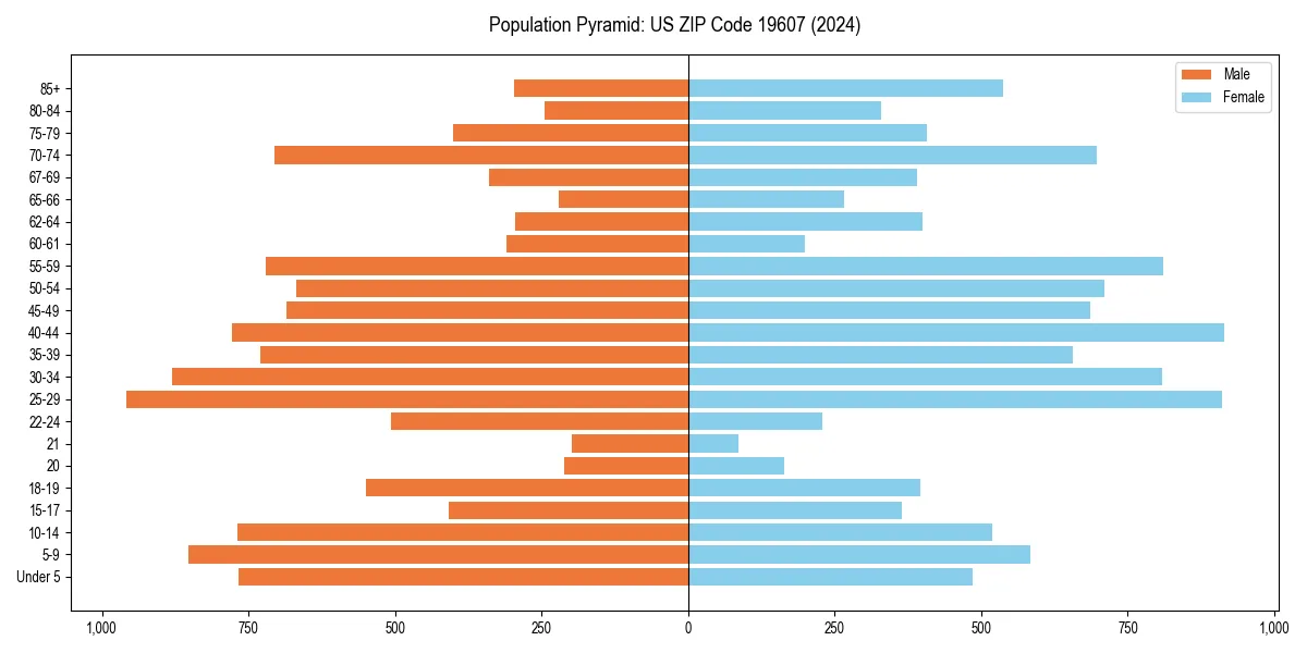 Population pyramid for 
