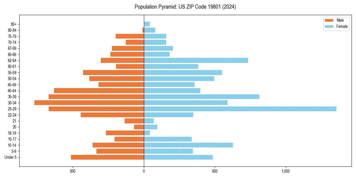 Population pyramid for 