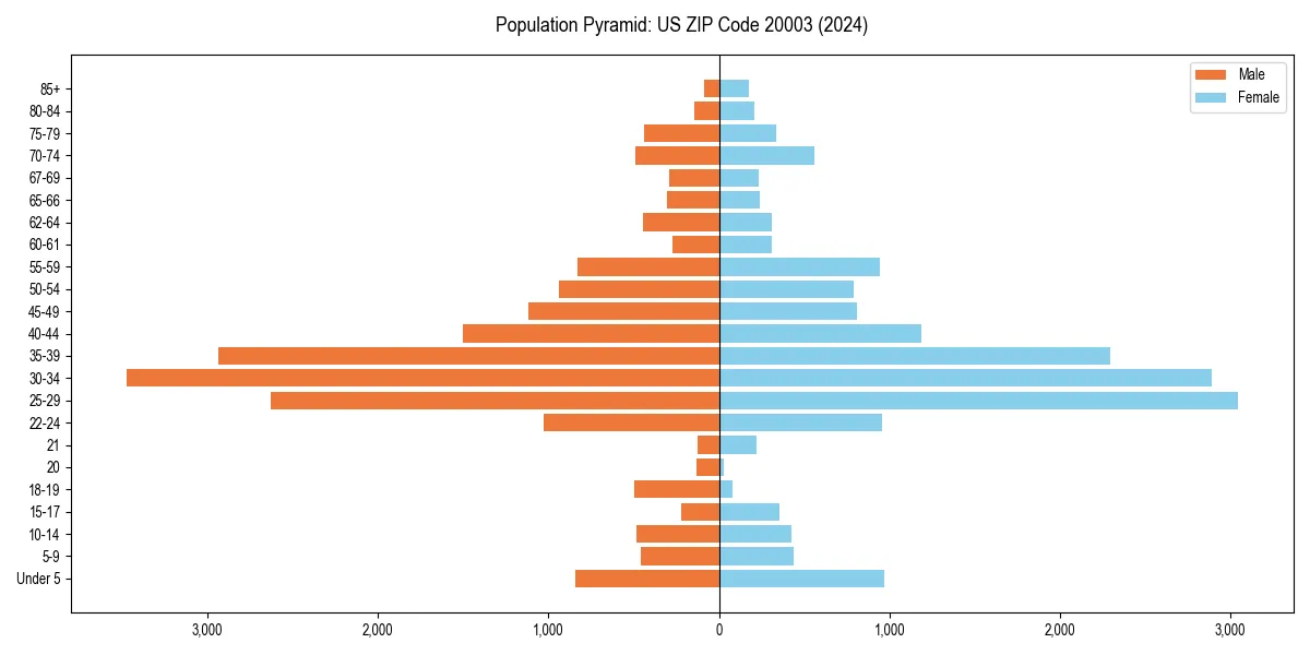 Population pyramid for 