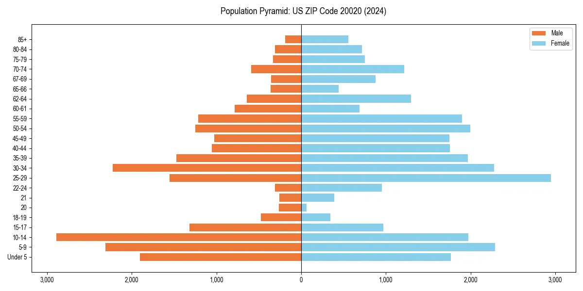 Population pyramid for 