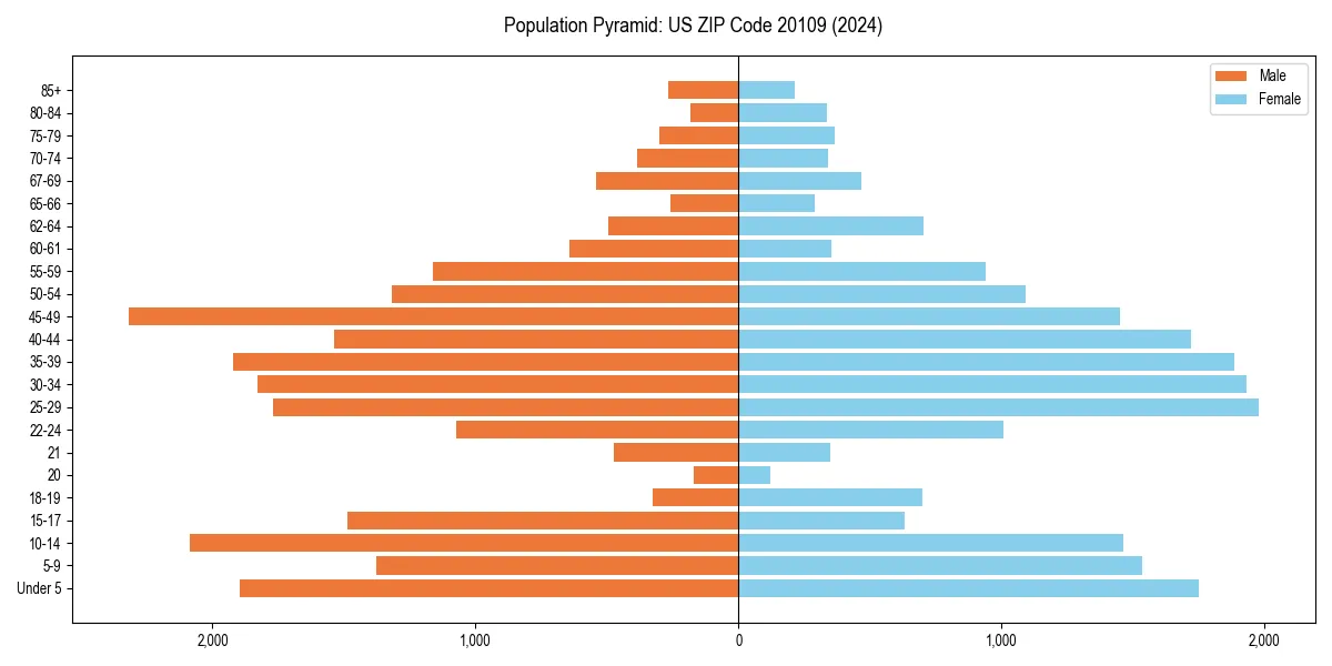 Population pyramid for 