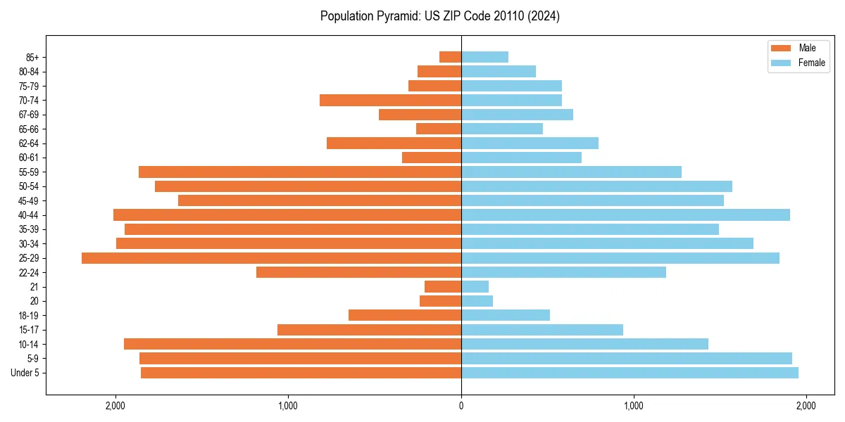 Population pyramid for 