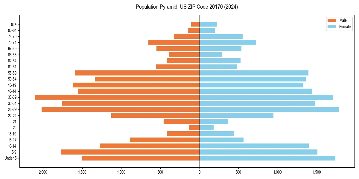 Population pyramid for 