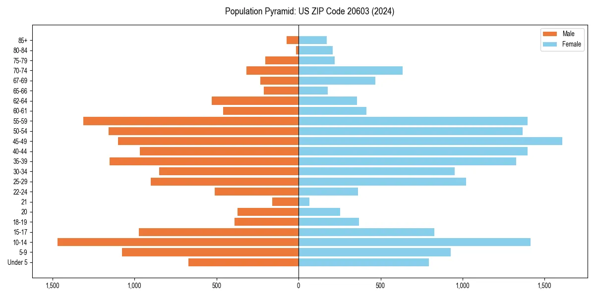 Population pyramid for 