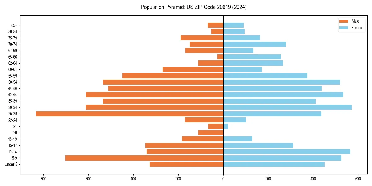 Population pyramid for 