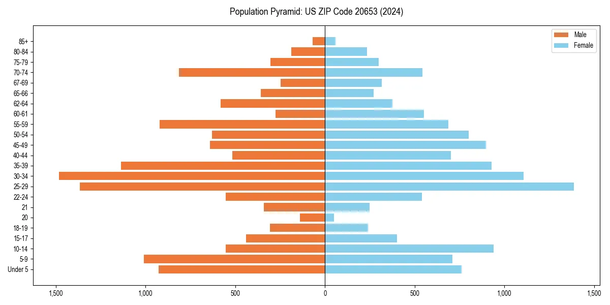 Population pyramid for 