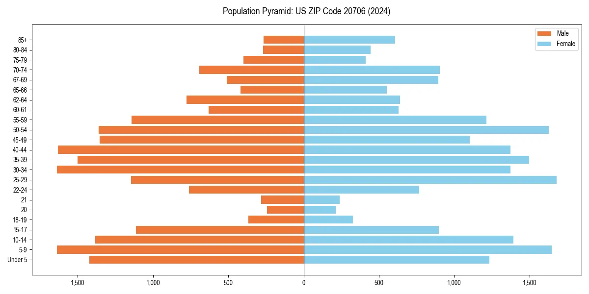 Population pyramid for 