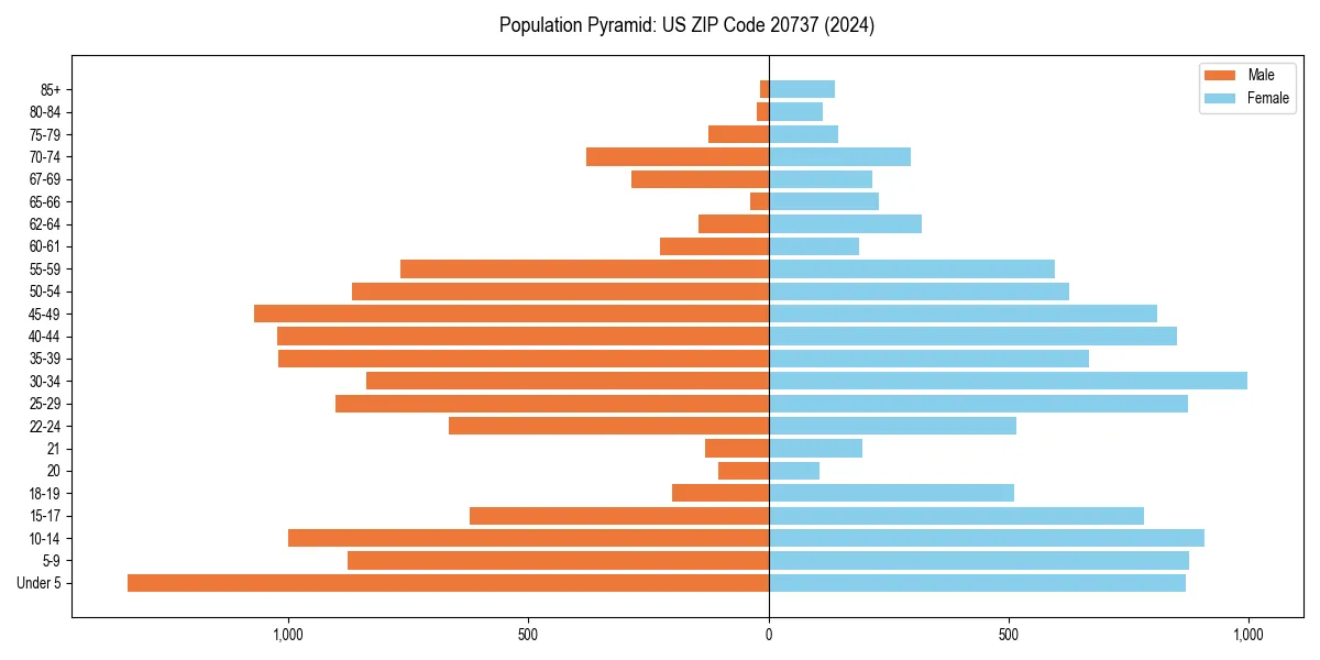 Population pyramid for 