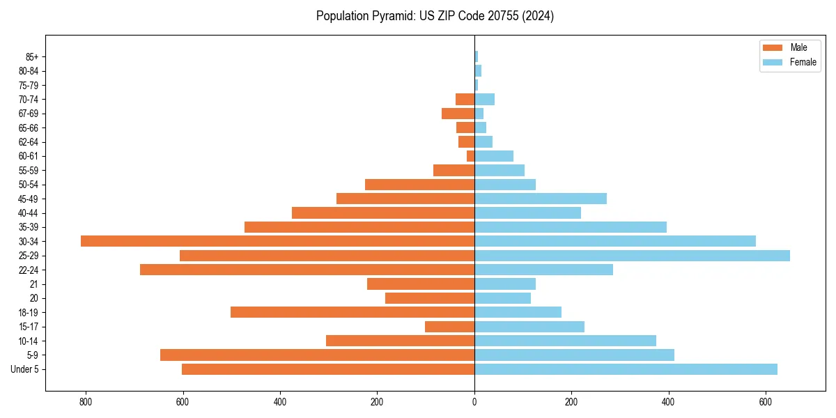 Population pyramid for 