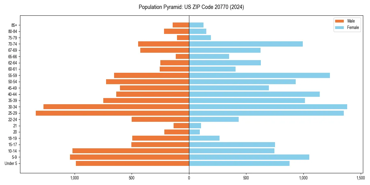 Population pyramid for 