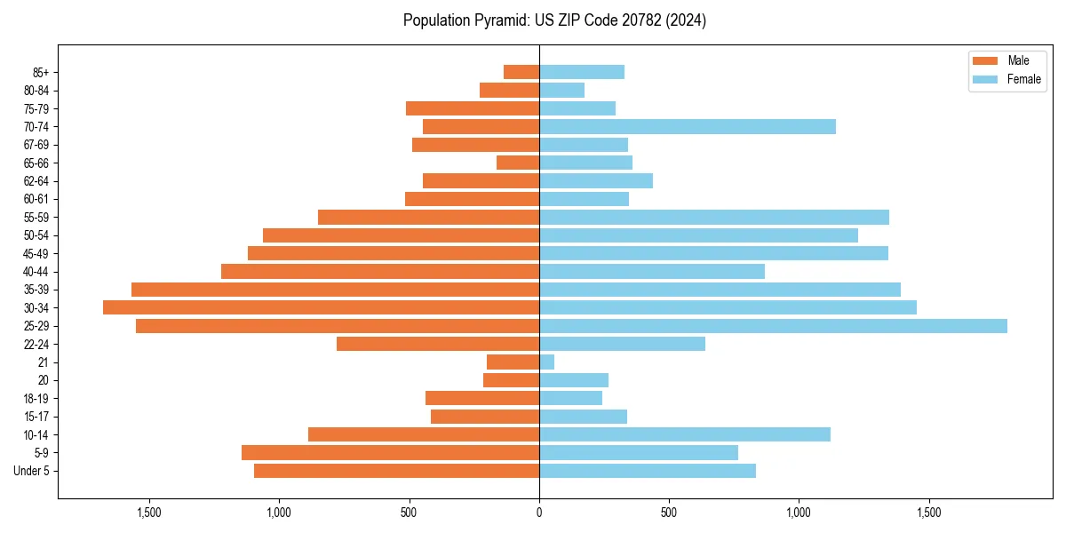 Population pyramid for 