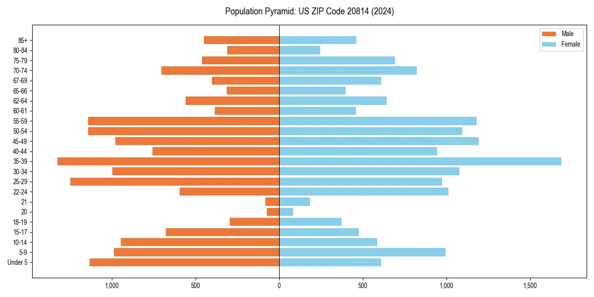 Population pyramid for 