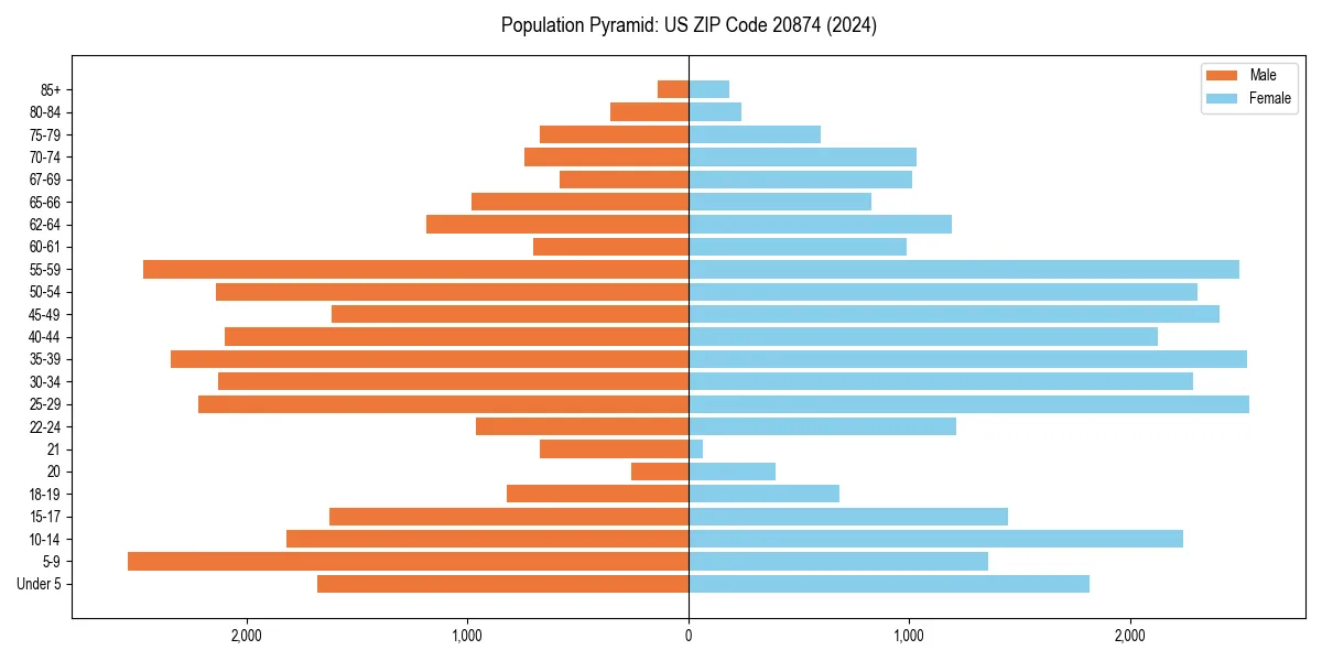 Population pyramid for 
