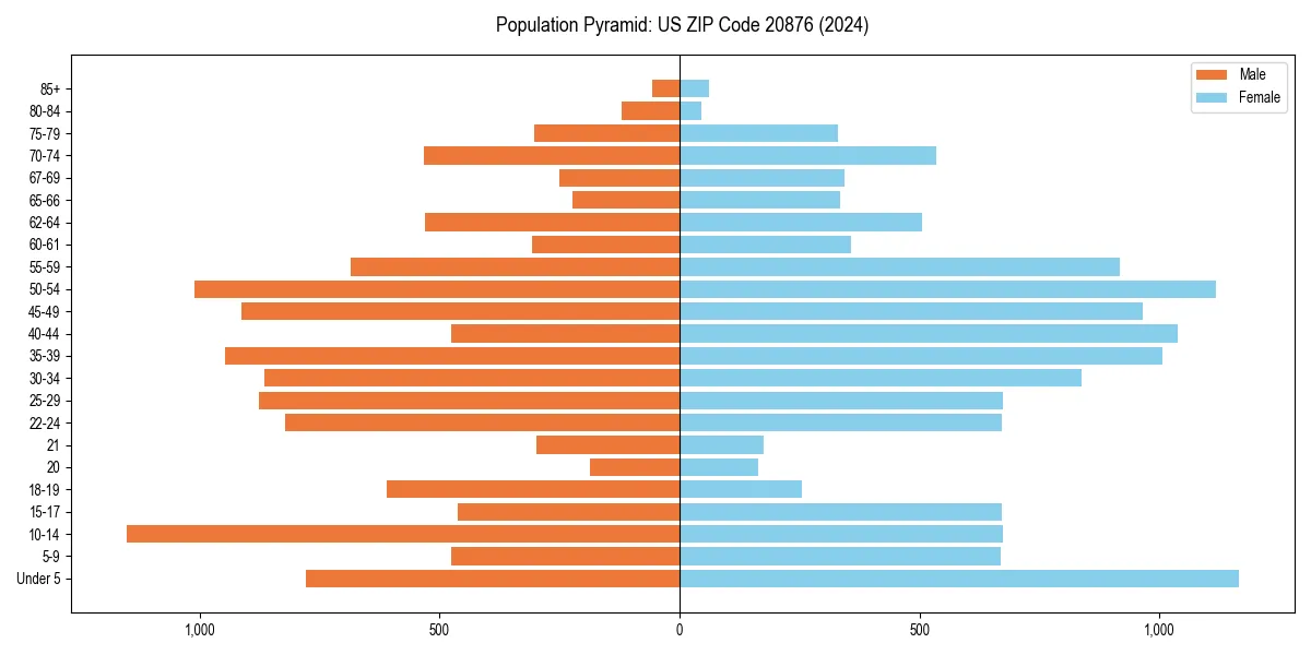 Population pyramid for 