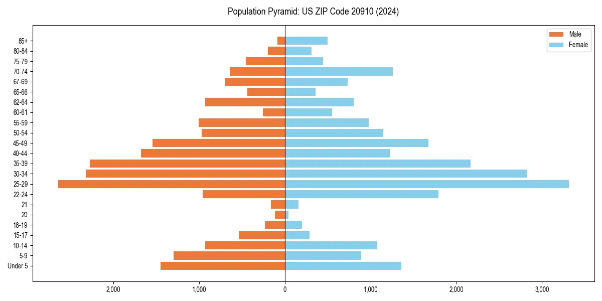 Population pyramid for 