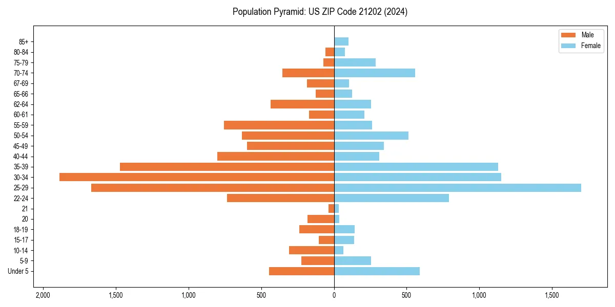 Population pyramid for