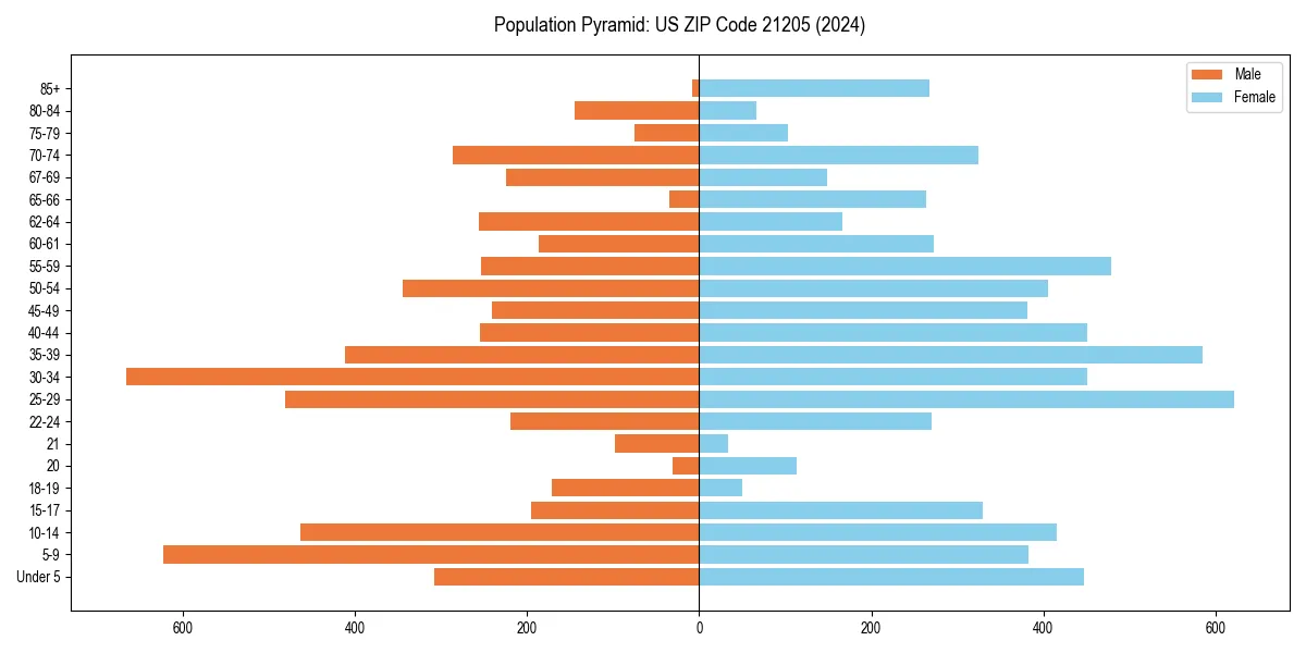Population pyramid for