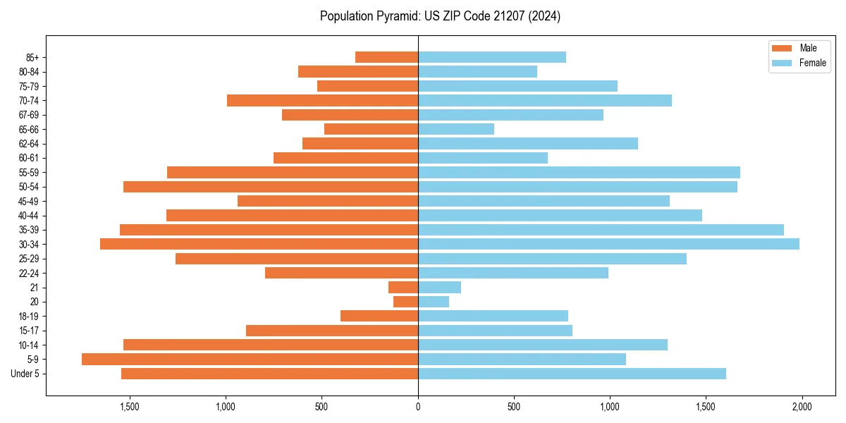 Population pyramid for