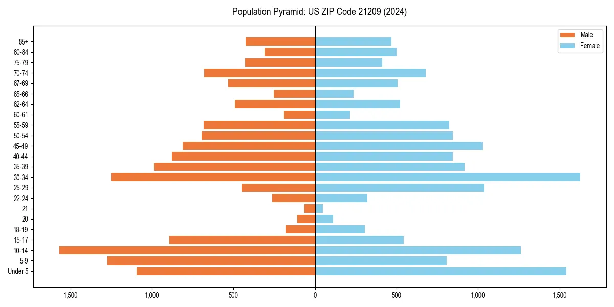 Population pyramid for