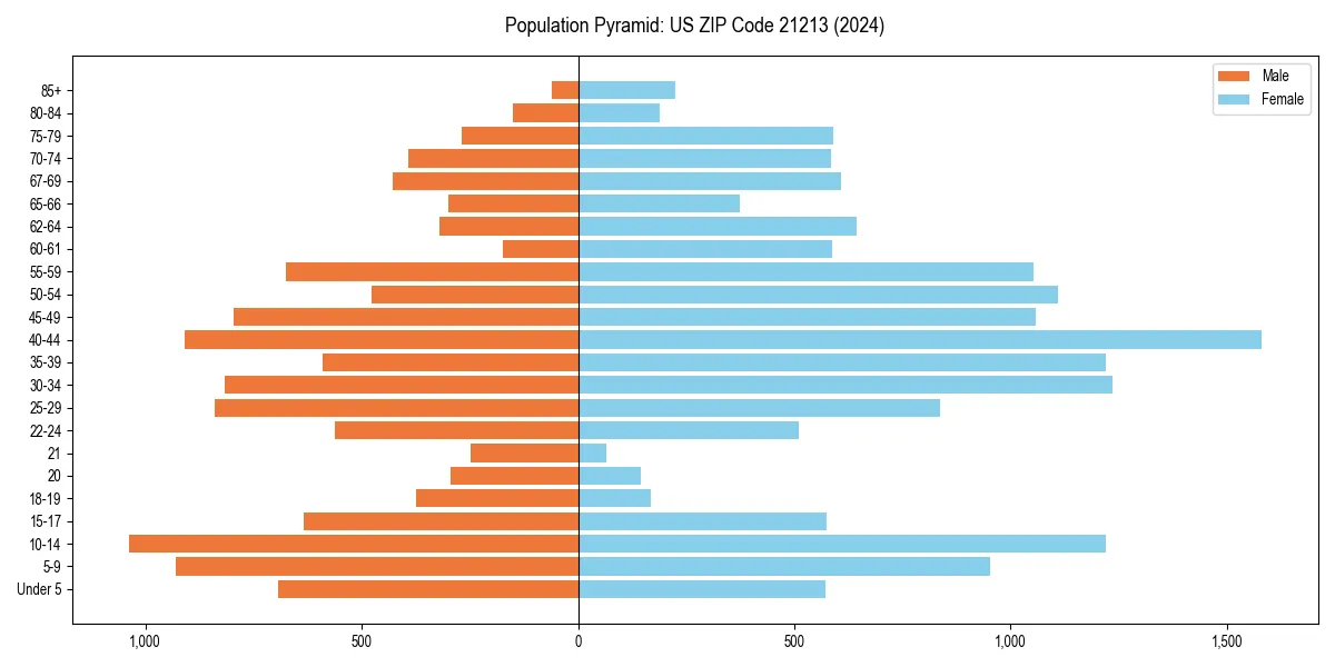 Population pyramid for