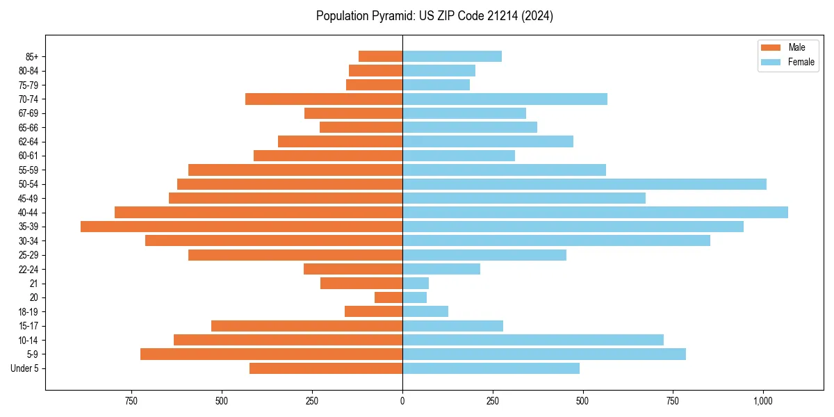 Population pyramid for