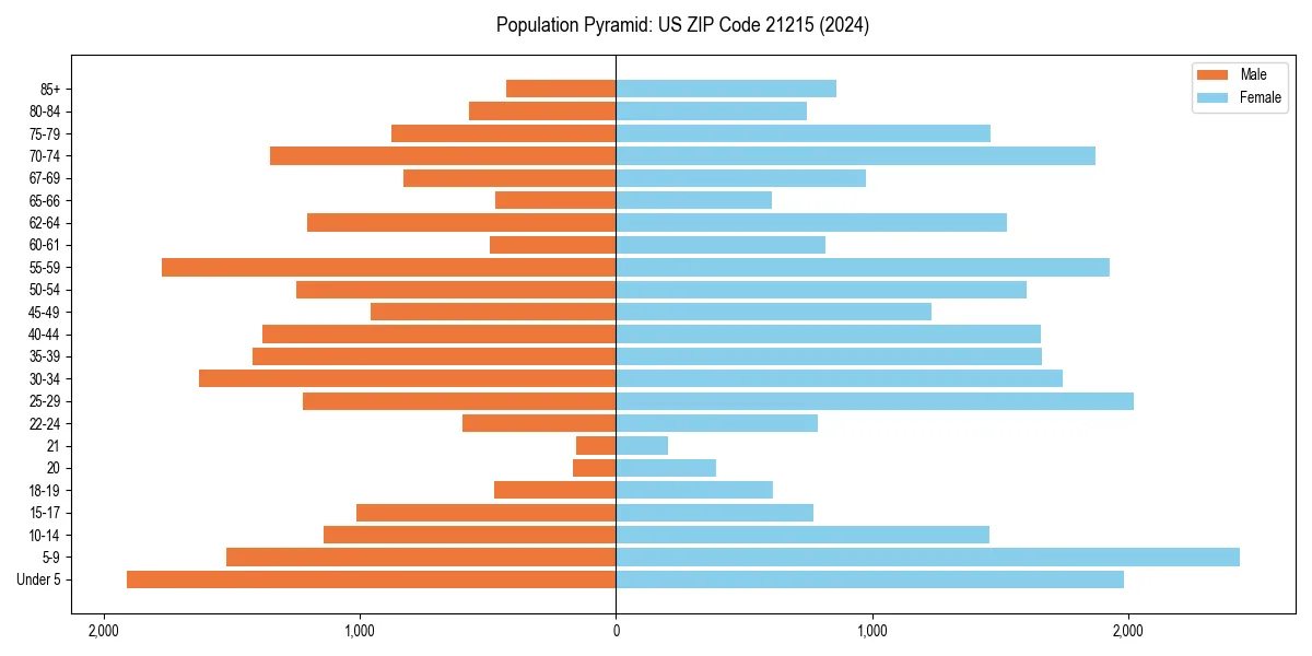 Population pyramid for
