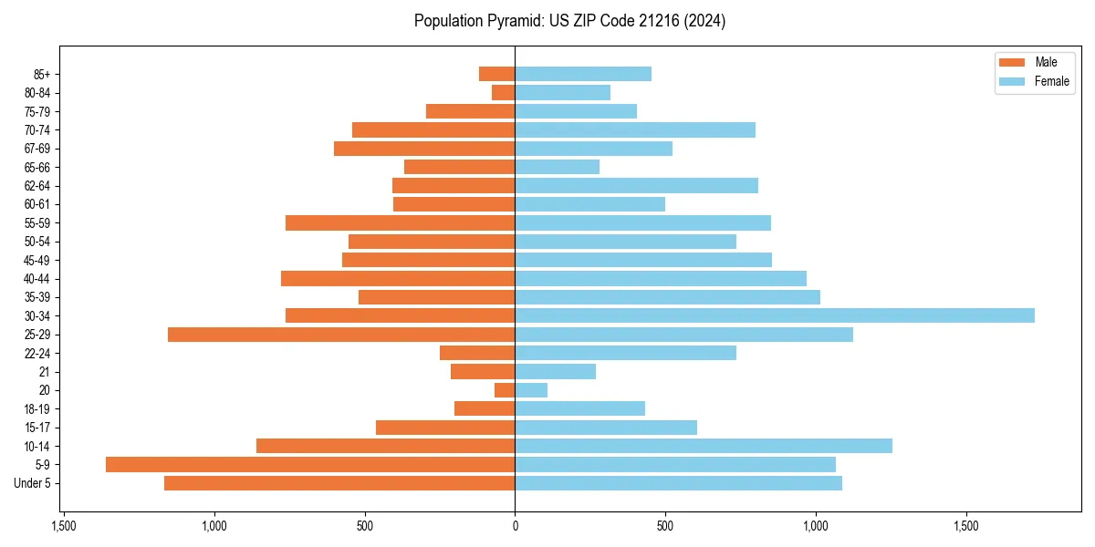 Population pyramid for