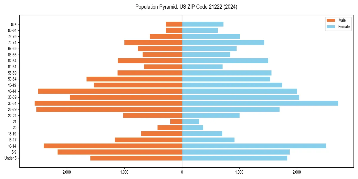 Population pyramid for