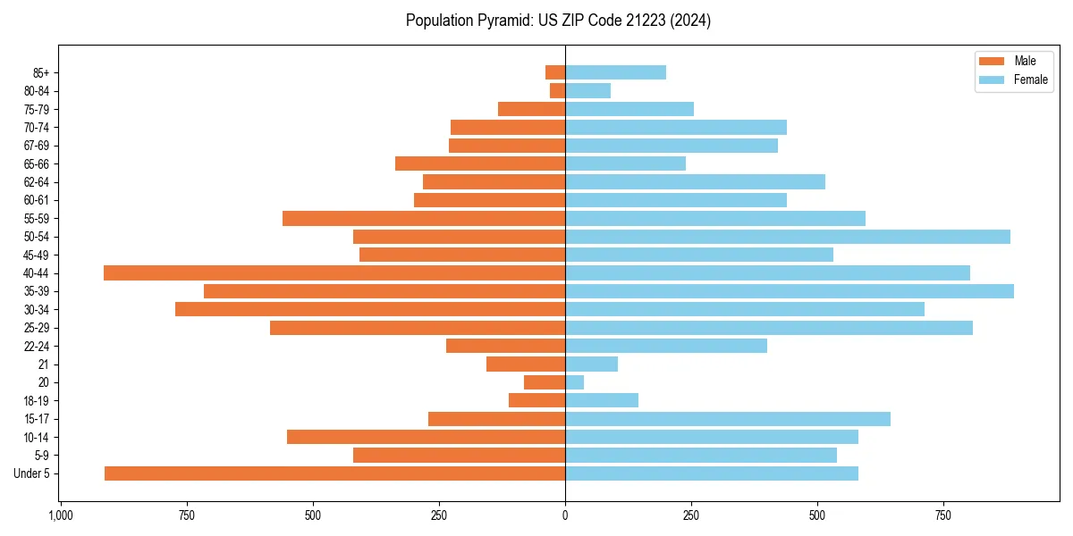 Population pyramid for