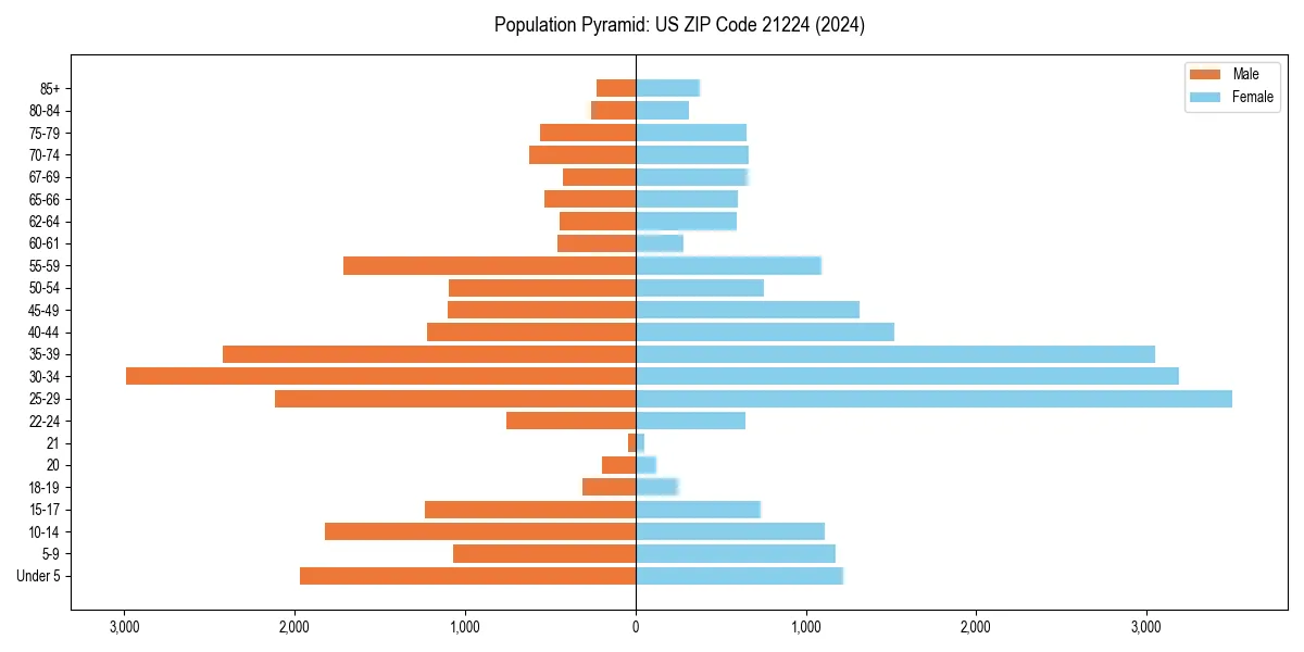 Population pyramid for