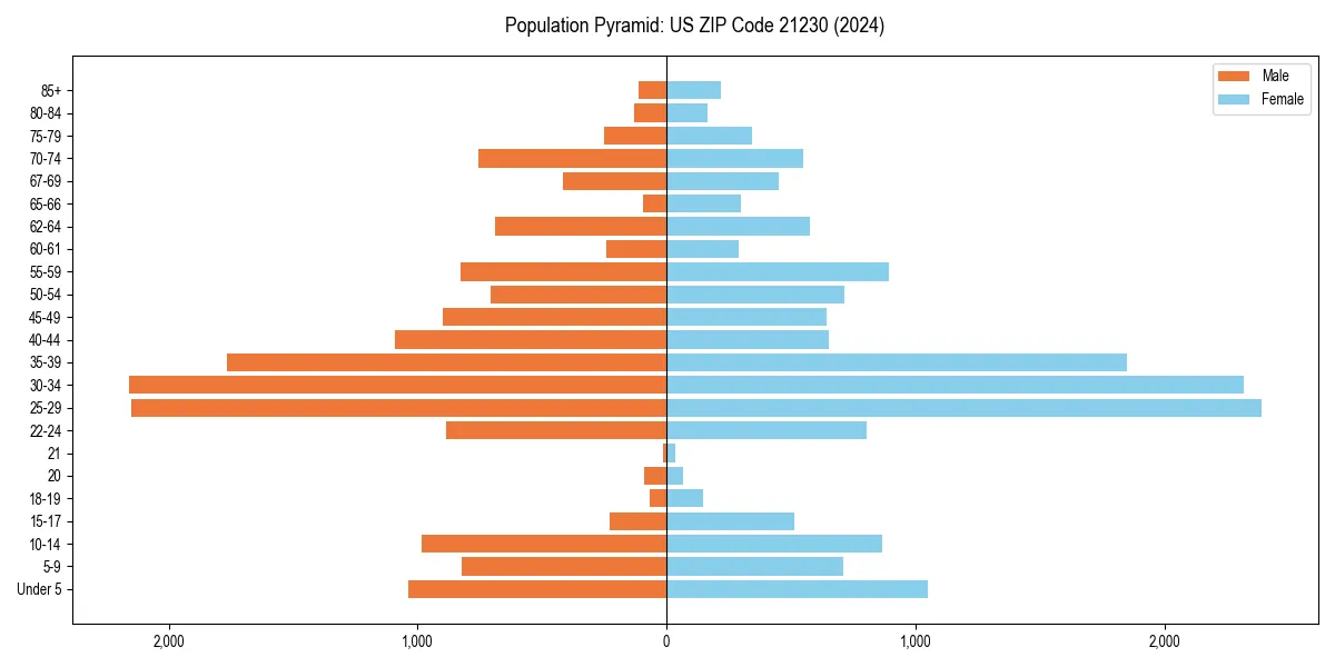 Population pyramid for