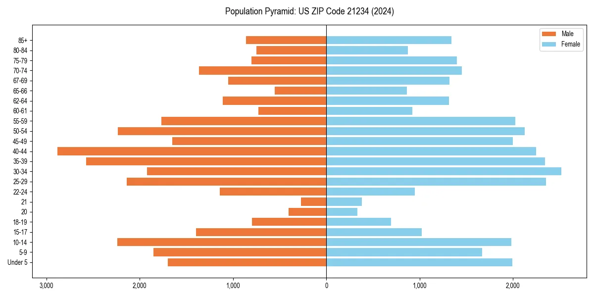 Population pyramid for
