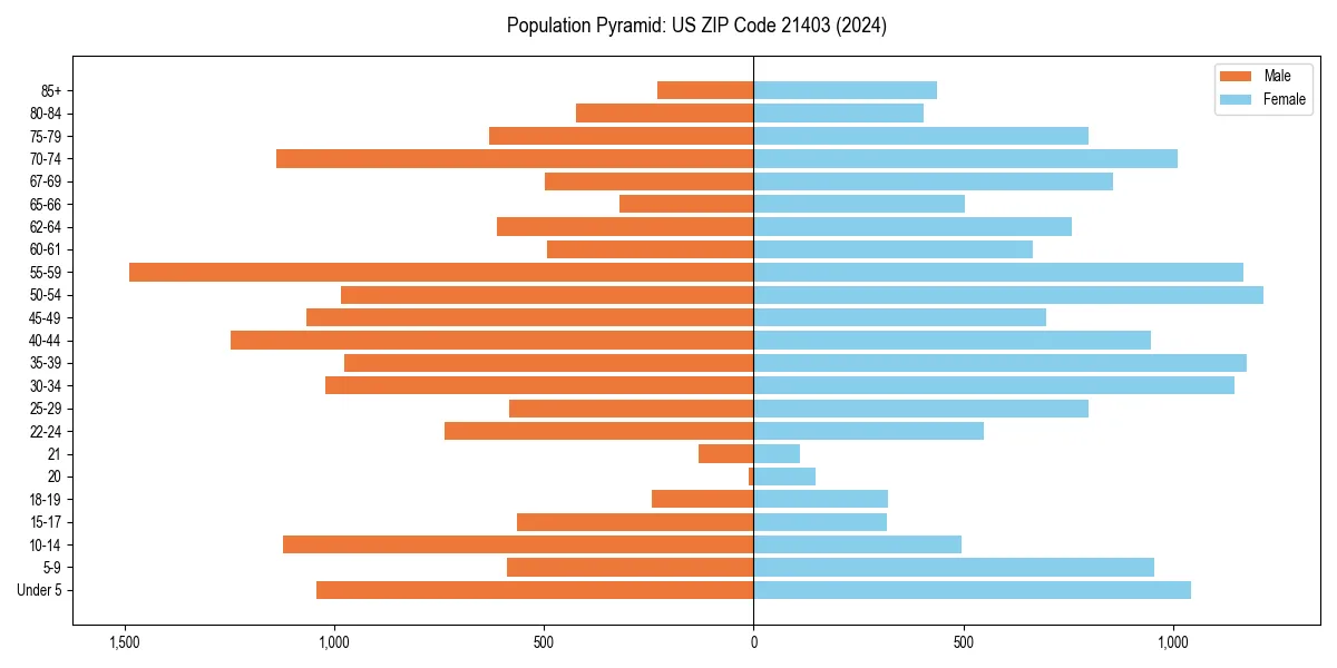 Population pyramid for 