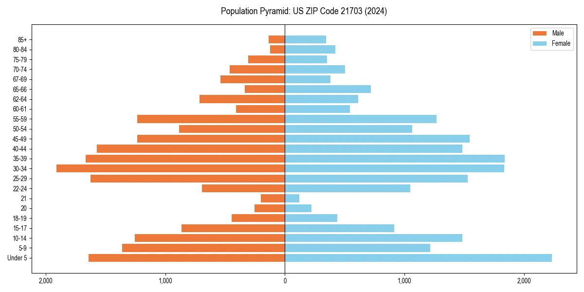 Population pyramid for 